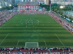 德甲焦点,弗里希精准,断球,皇冠体育app下载,皇冠体育官网,澳门皇冠体育,bet皇冠体育在线