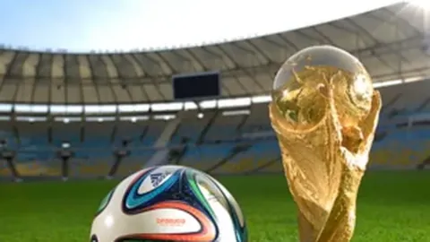 排球郭成：角色变迁纪年